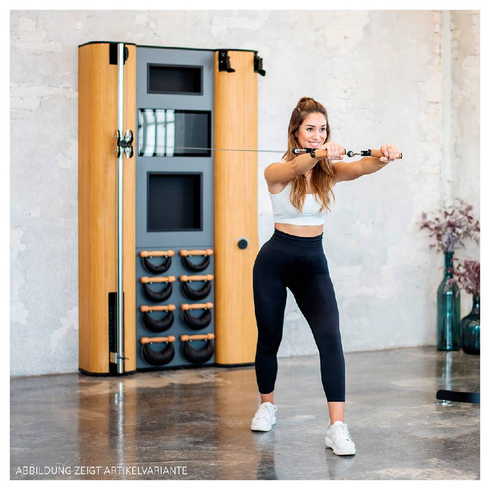 Sport Tec NOHrD Wall Compact, Seilzug, Skitrainer, 8 Swing Hanteln, Club-Sport Zeitbegrenzte Promotion