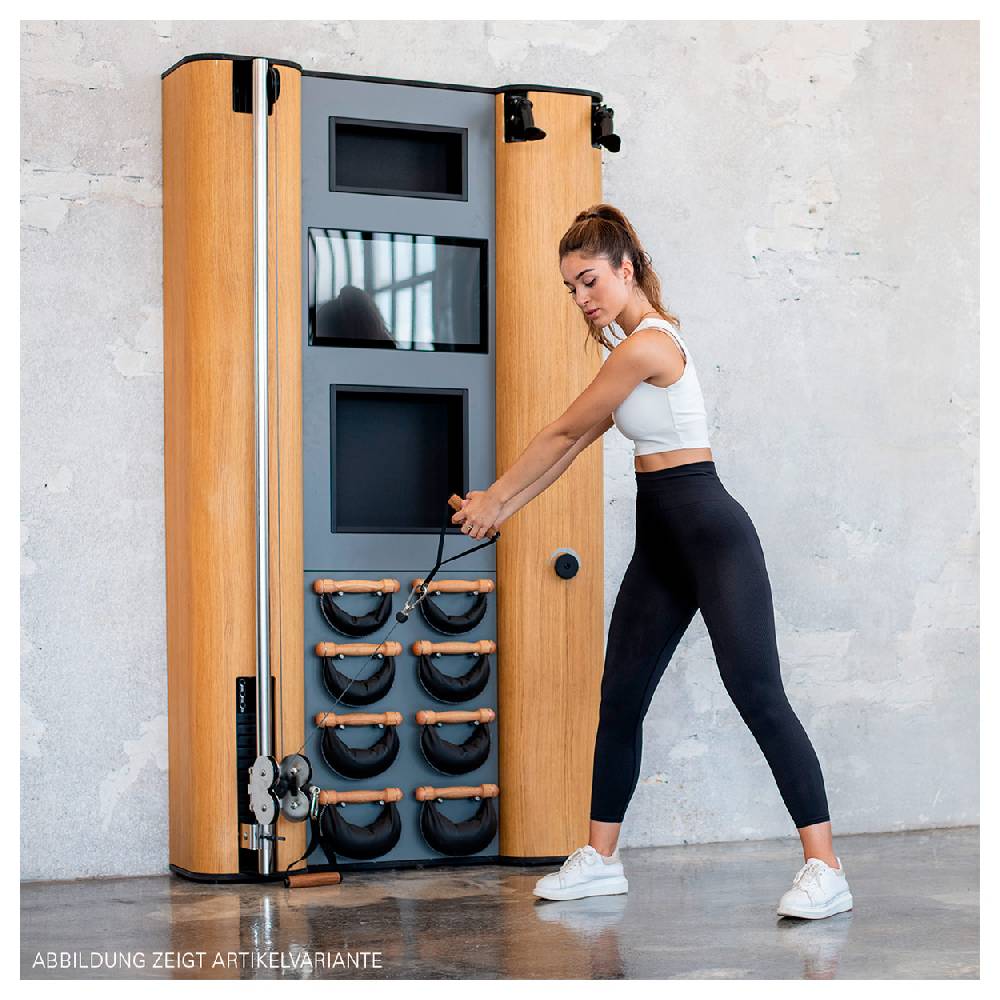 Sport Tec NOHrD Wall Compact, Seilzug, Skitrainer, 8 Swing Hanteln, Club-Sport Zeitbegrenzte Promotion